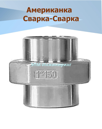 Американка с/с Ду 50 (2", 60,3 мм) AISI 304  уплотнение PTFE (прокладка фторопластовая), приварная от компании ООО "ЭПМ-Инжиниринг"
